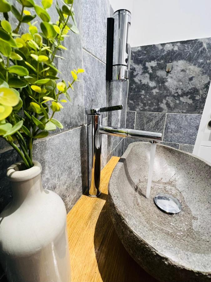 Le Zenith Apartment Saint-Etienne  Bagian luar foto